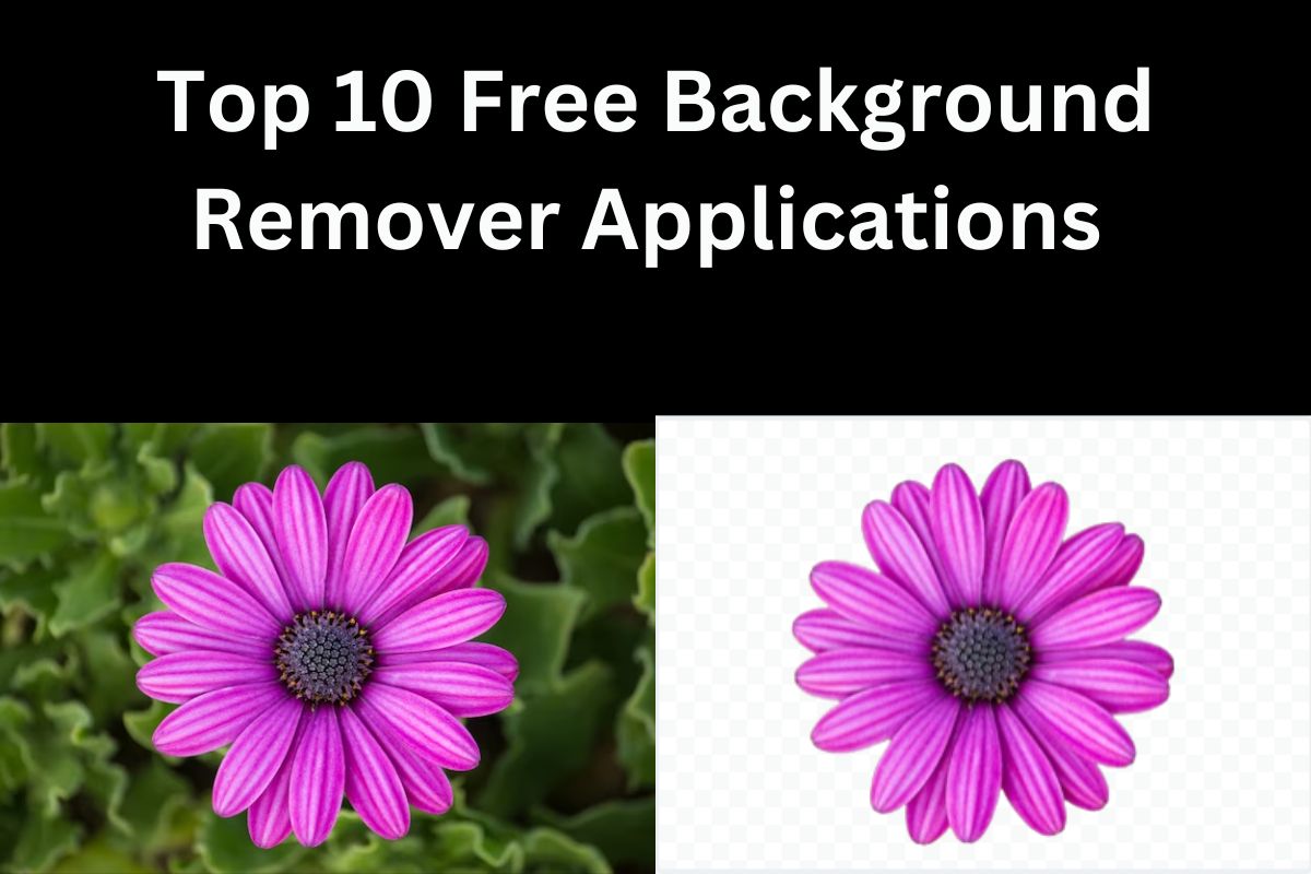 The Top 10 Free Background Remover Applications 