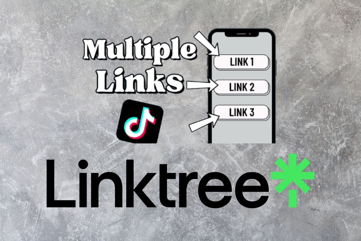 Linktree now enables users to enhance link visibility through the featured layout function